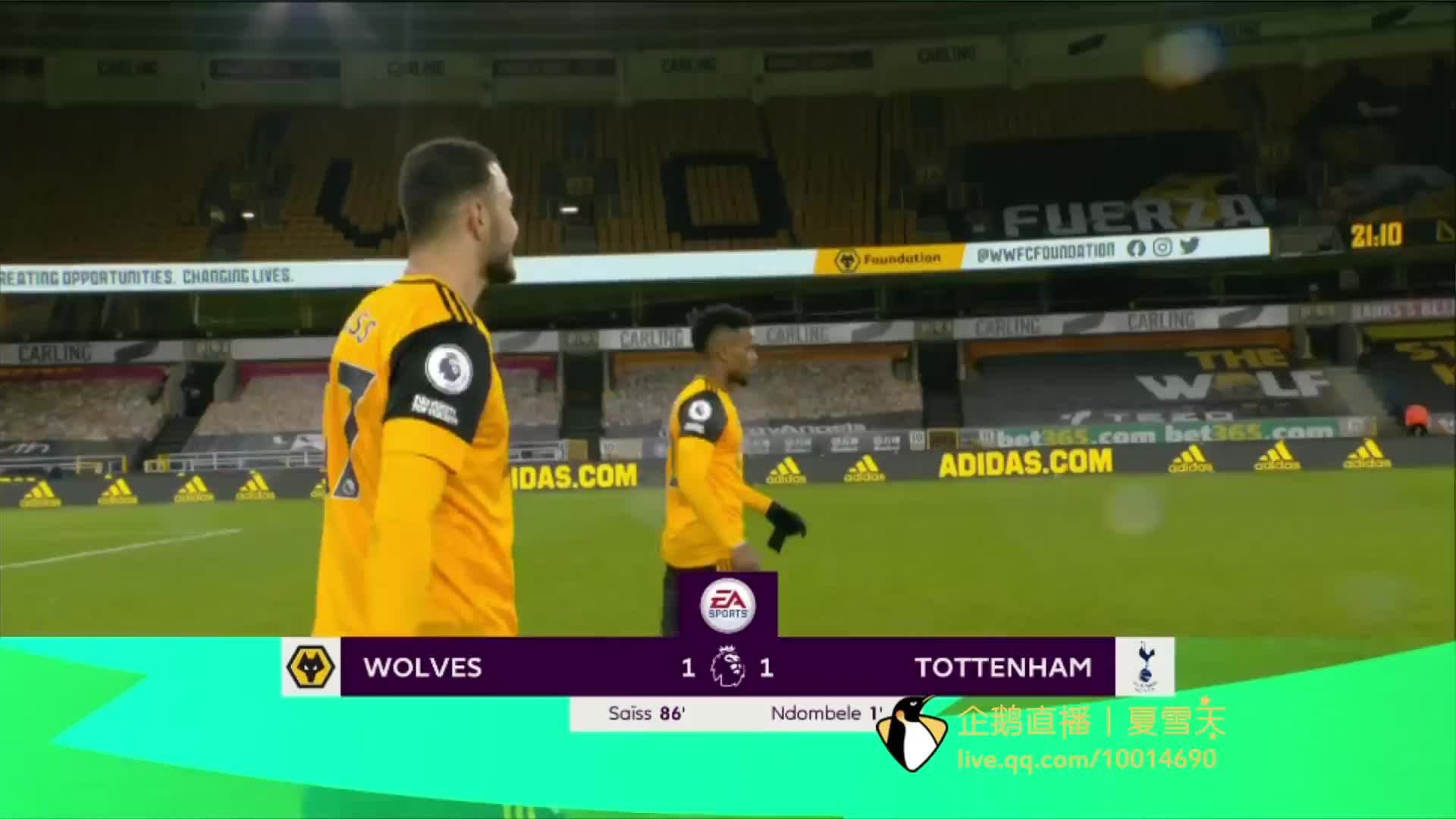 技术兼备的 技术兼备的